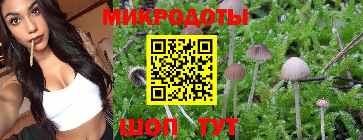 Псилоцибиновые грибы мицелий  Вход с VPN  Соль-Илецк 